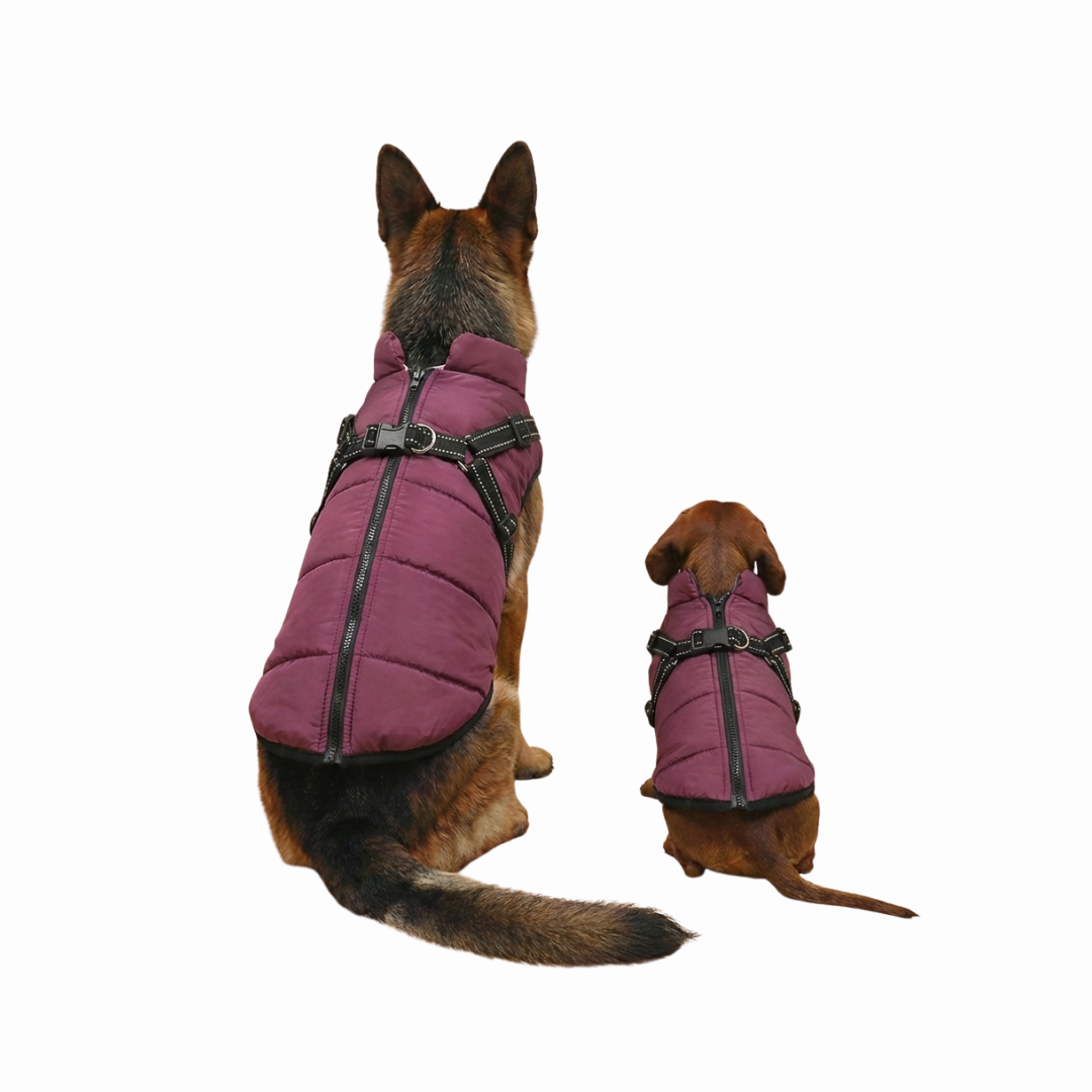 3-in-1 Winter-Hundemantel