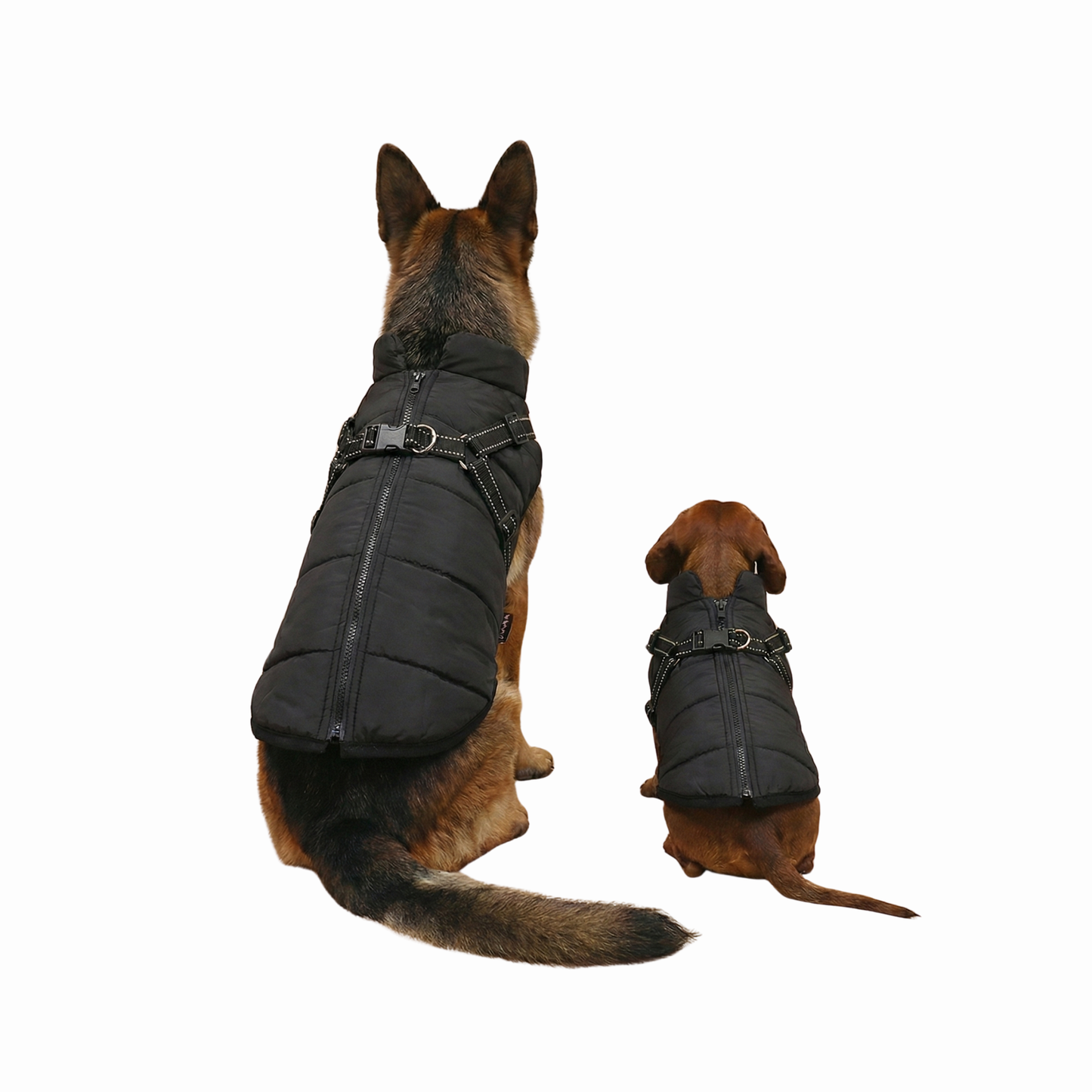 3-in-1 Winter-Hundemantel